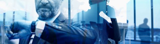 Doradztwo marketingowe i handlowe / Business Development