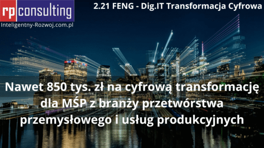 2.21 FENG - Dig.IT Transformacja Cyfrowa